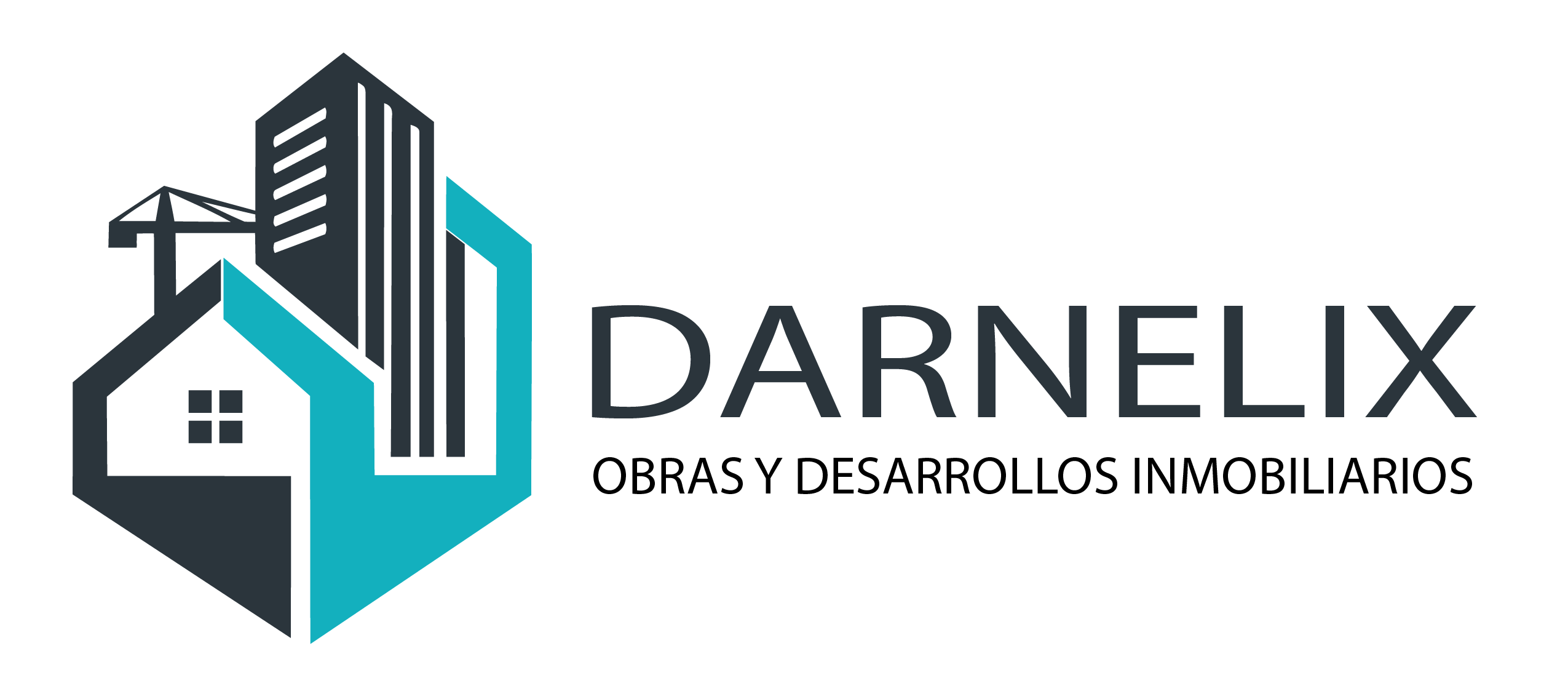 DARNELIX Logo Principal